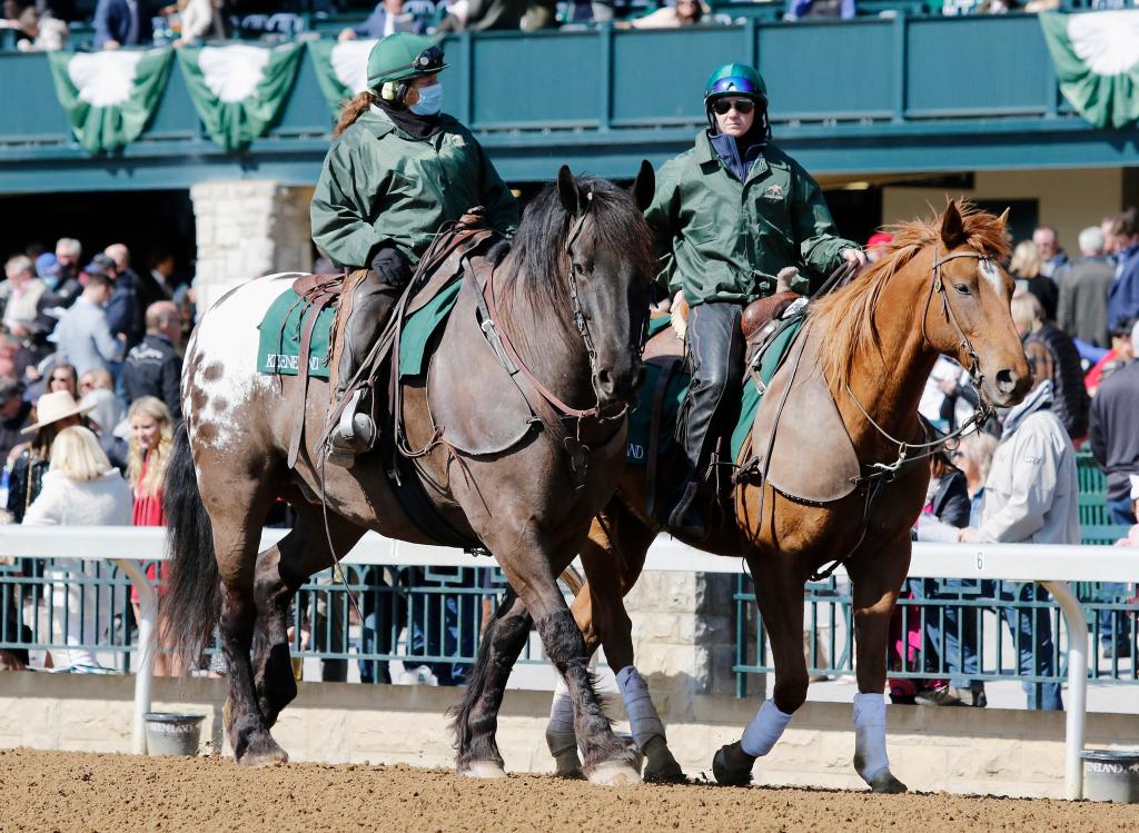 Harley and another pony. (Eclipse Sportswire/Candice Chavez)